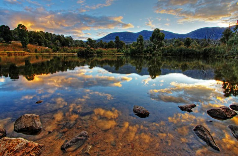 Viagem para o Pantanal: vale a pena viver essa experiência?